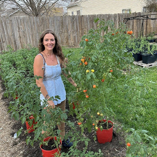 Best Soil for Growing Tomatoes in Containers: A Complete Guide
