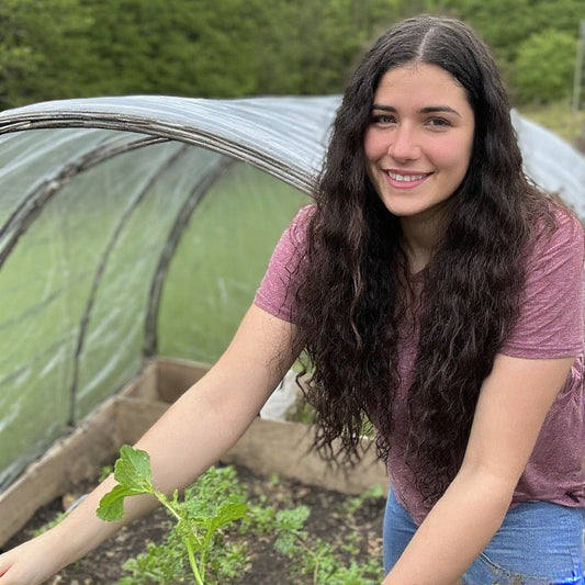 How to Build a Cold Frame to Extend Your Growing Season
