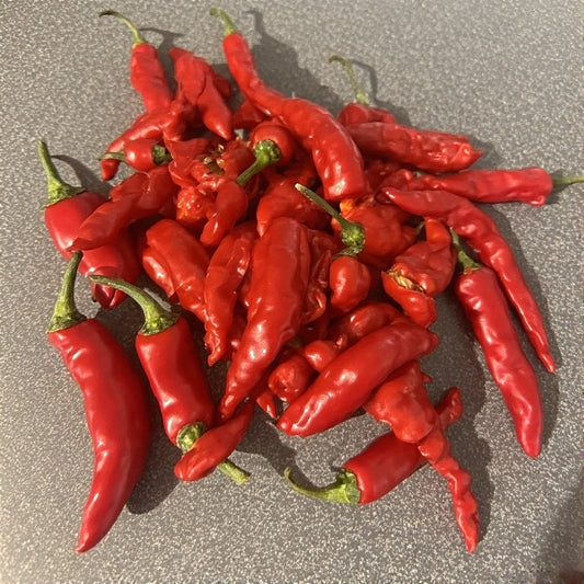 Carolina Cayenne Pepper Seeds: A Comprehensive Guide to Growing, Harvesting, and Using