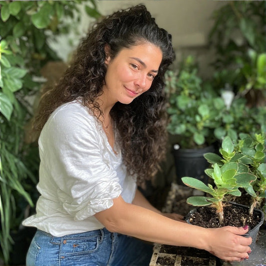 Companion Planting: A Complete Guide to Growing Better Together