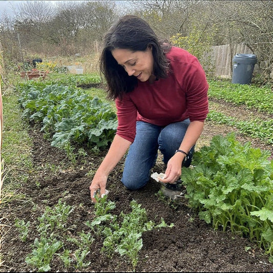 Companion Planting Guide for Beginners: Cultivating Harmony in Your Garden