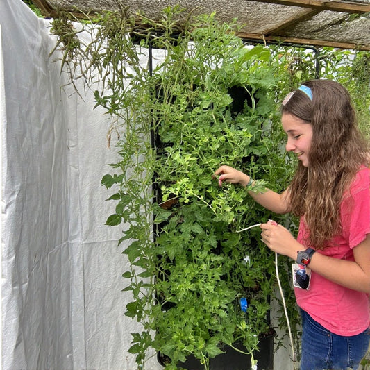 DIY Vertical Garden Ideas for Small Spaces