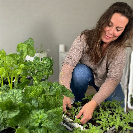 Beginner’s Guide to Hydroponic Gardening at Home