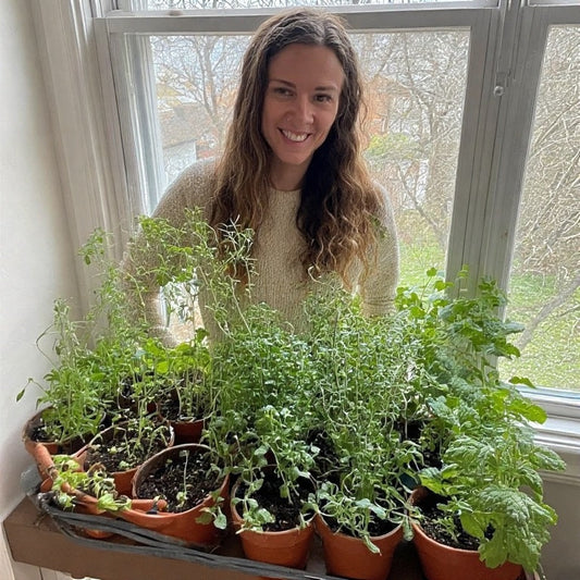 Indoor Gardening Tips for Beginners