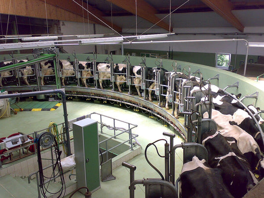 Importance of Dairy Farming in Agriculture