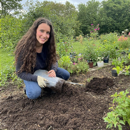 How to Reuse Potting Soil from Last Year: A Complete Guide for Gardeners