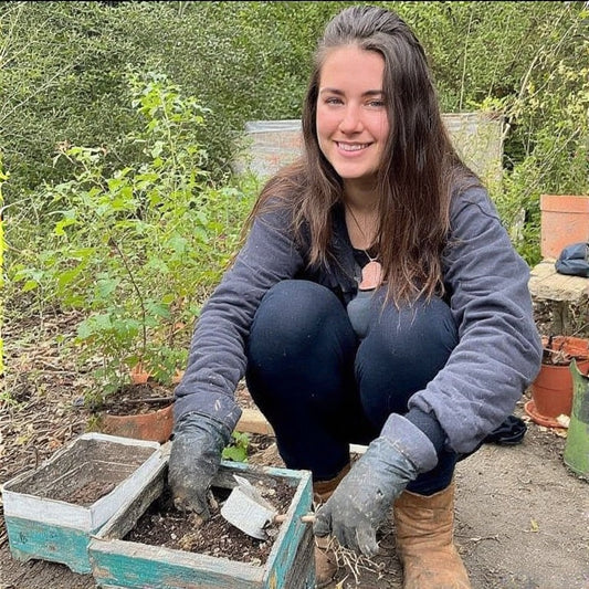 Understanding Hardiness Zones and What to Plant in Yours