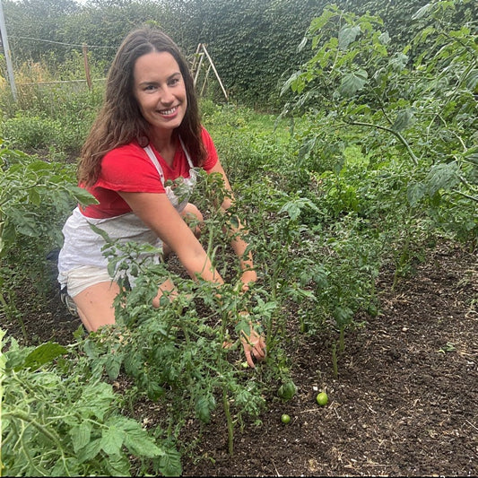 What Are the Benefits of Crop Rotation? A Comprehensive Guide for Healthier Soil and Bigger Harvests