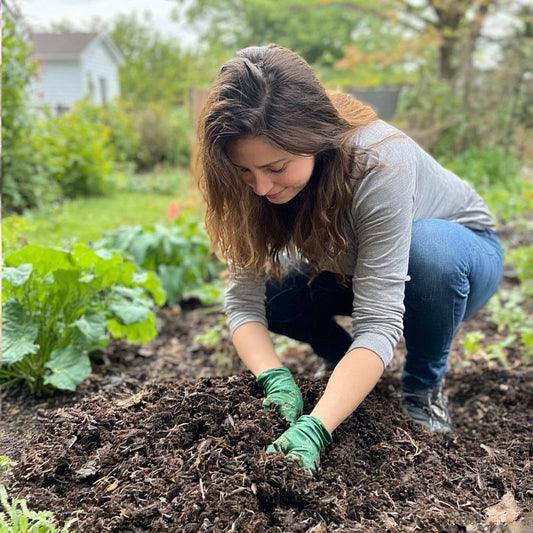 Best Mulch for Vegetable Garden in Hot Climate