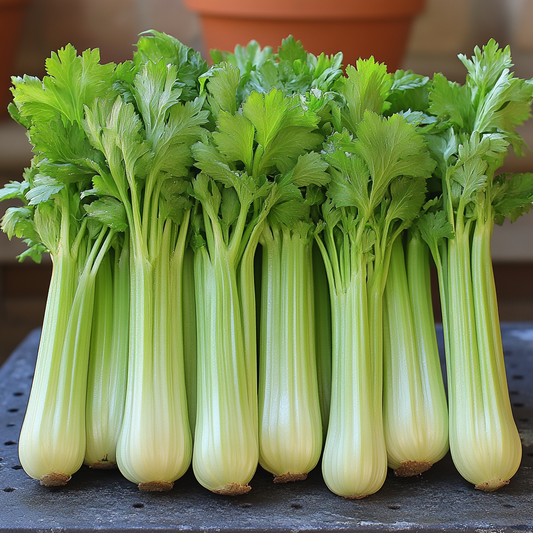 Companion Planting for Celery: Enhancing Growth and Garden Health