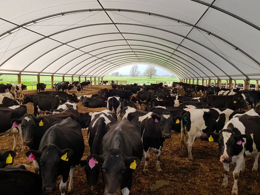 Indoor vs. Outdoor Livestock Farming