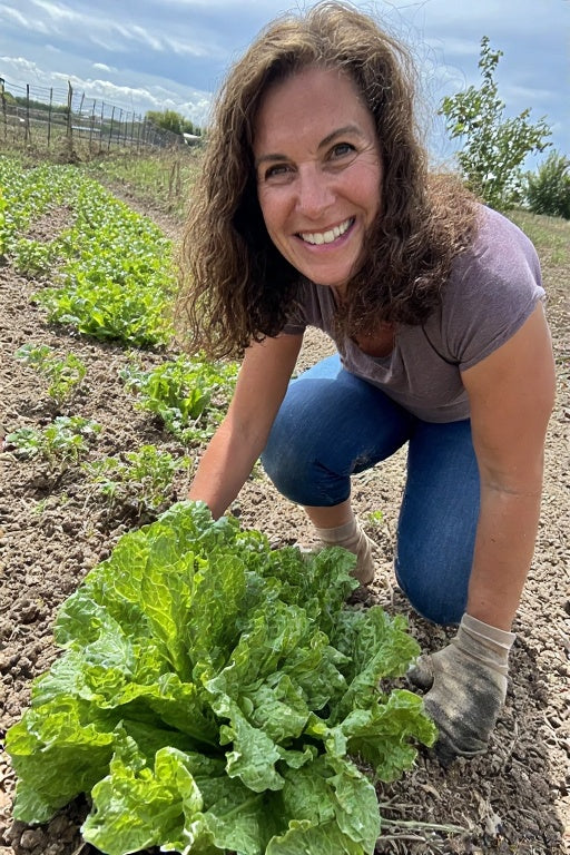 Growing Buttercrunch Lettuce: A Complete Guide for Lush, Crisp Harvests