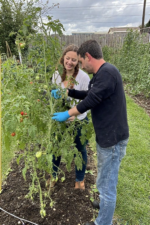 Natural Ways to Keep Aphids Off Tomatoes