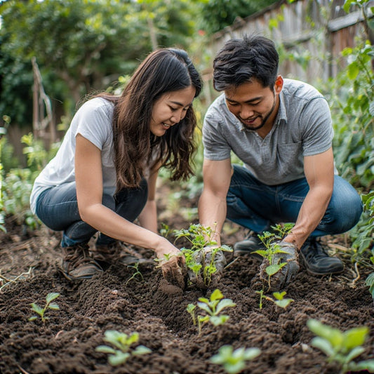 Top 5 Mistakes That Kill Seedlings and How to Avoid Them
