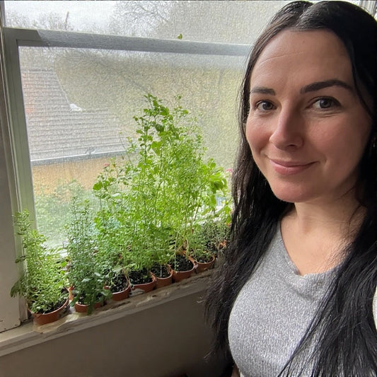 How to Start a Herb Garden on Your Windowsill