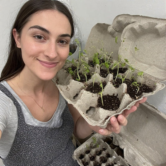 How to Start Seeds in Egg Cartons: A Step-by-Step Guide for Sustainable Gardeners