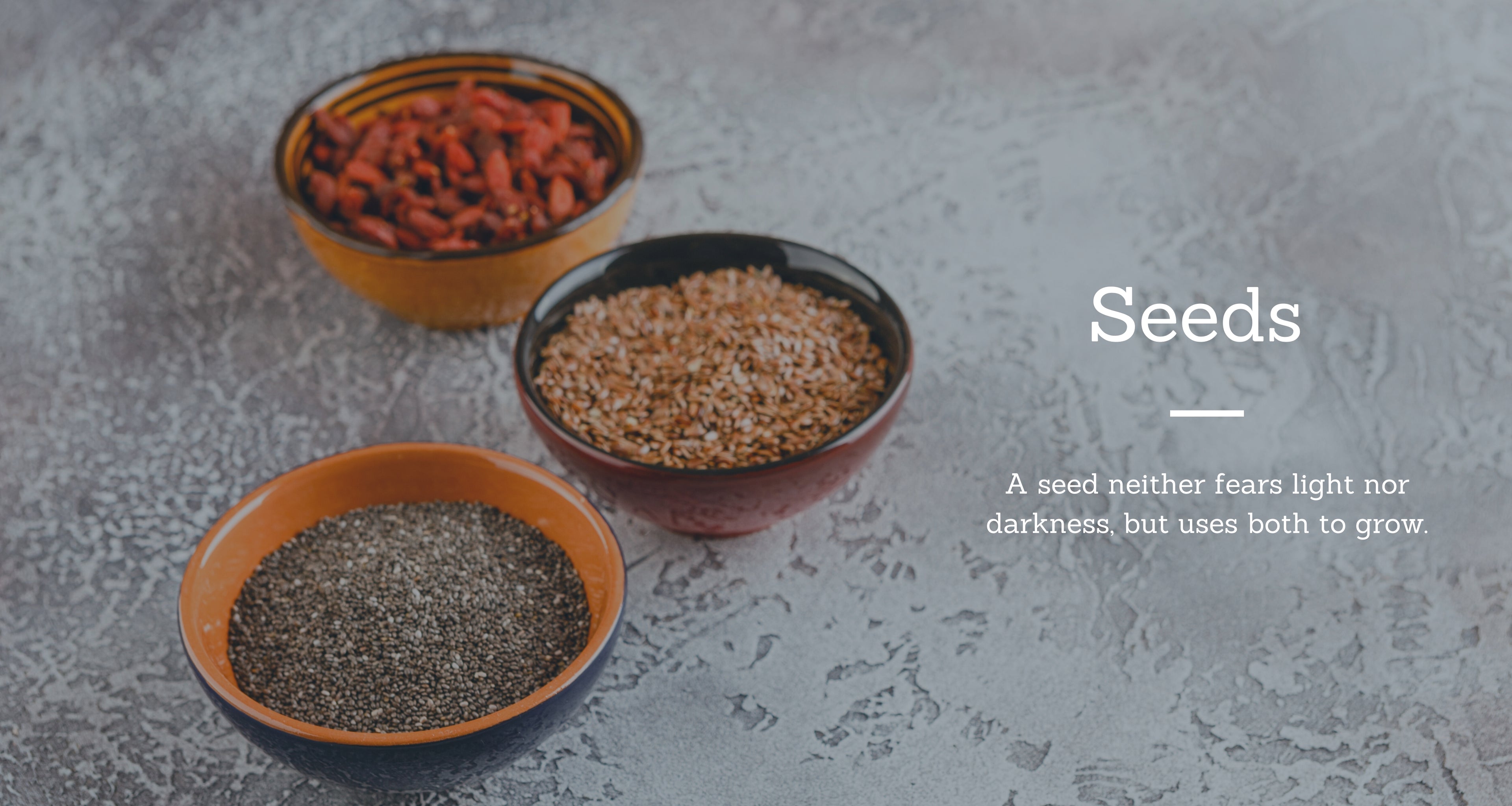 BENEFITS OF SEEDS