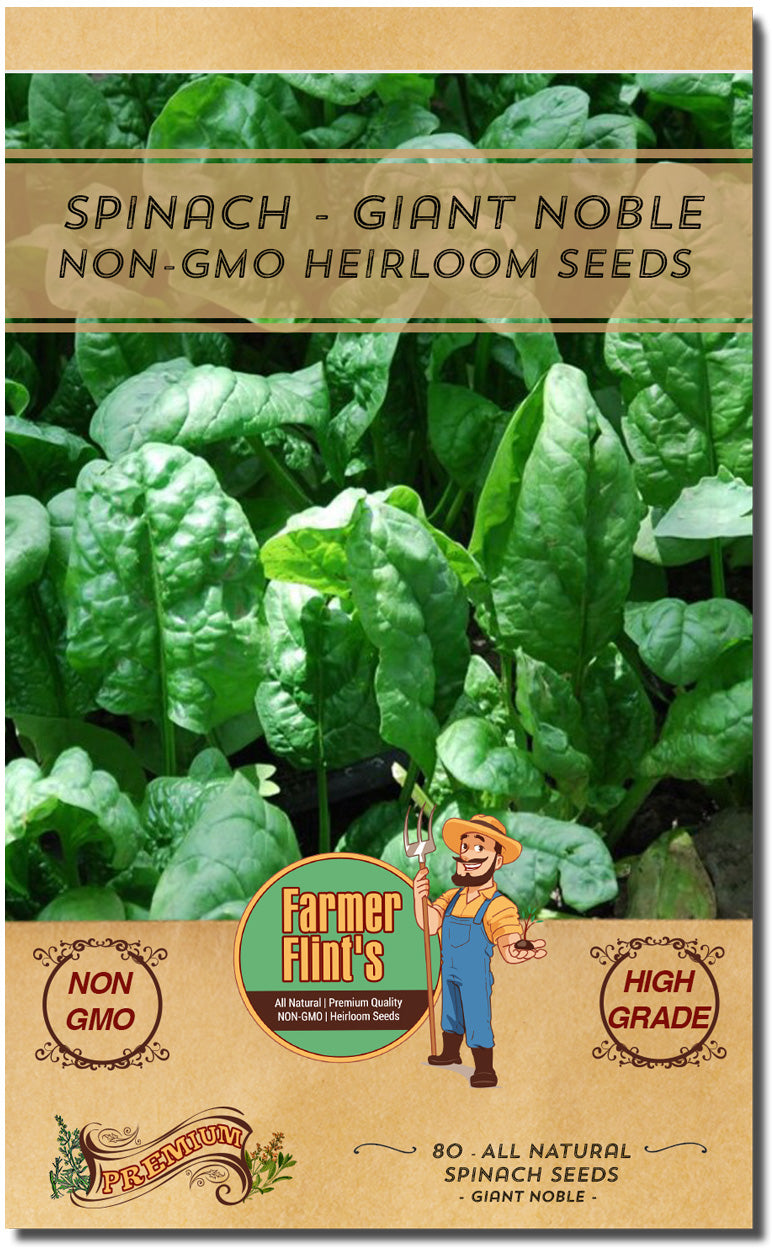 Giant Noble Spinach Seeds - Non-GMO Heirloom Spinach Leafy Vegetable Seeds - Open Pollinated Spinach Seeds for Planting Outdoors/Indoors - Pack of 80 Veggie Seeds w/ Planting Instructions