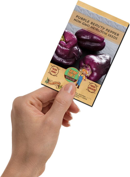Purple Beauty Bell Pepper Seeds - Open Pollinated/Non-GMO Heirloom Seeds for Planting Outdoors/Indoors - Pack of 30 Sweet Pepper Seeds w/High Germination Rate - Growing Instructions Included
