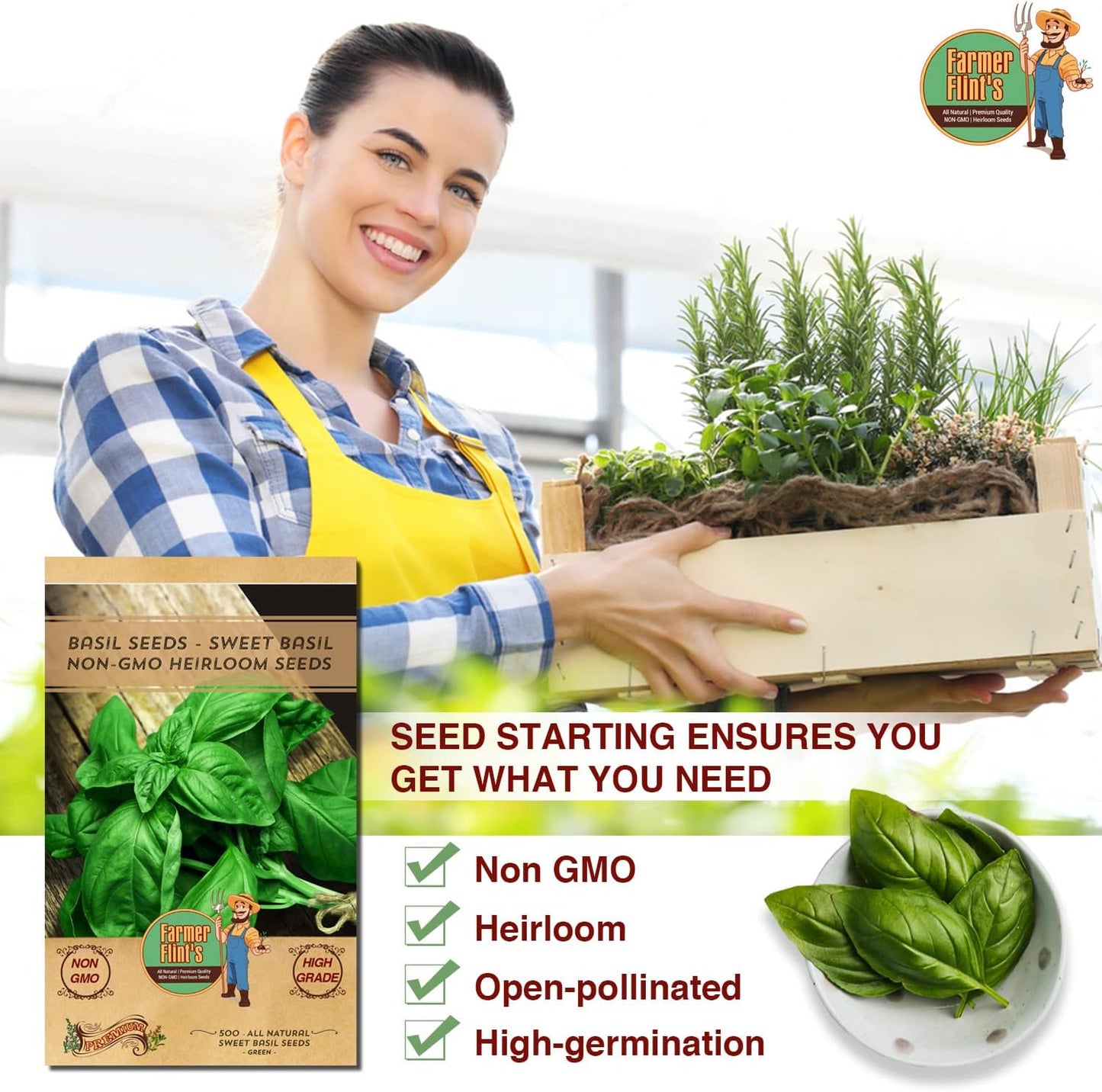 Sweet Basil Seeds - Leafy Vegetable Seeds for Planting Home Garden - Non-GMO Seeds for Planting Basil - Open Pollinated Seeds w/ High Germination Rate - 500 Basil Seed Packet w/ Growing Instructions