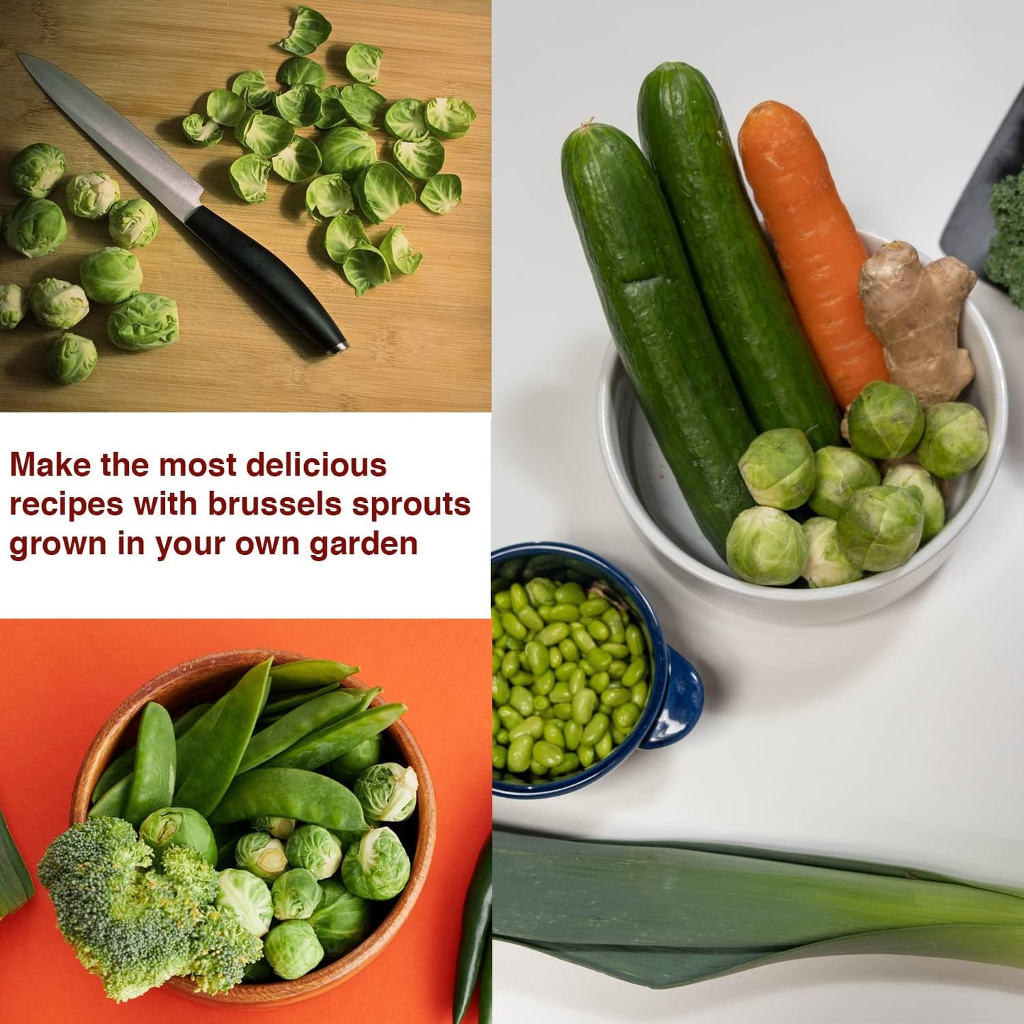 Brussels Sprouts Seeds for Planting - Non-GMO/Heirloom Seeds for Planting Vegetables - Long Island Improved Brussels Sprouts - Pack of 250 Mini Vegetable Seeds - Growing Instructions Included