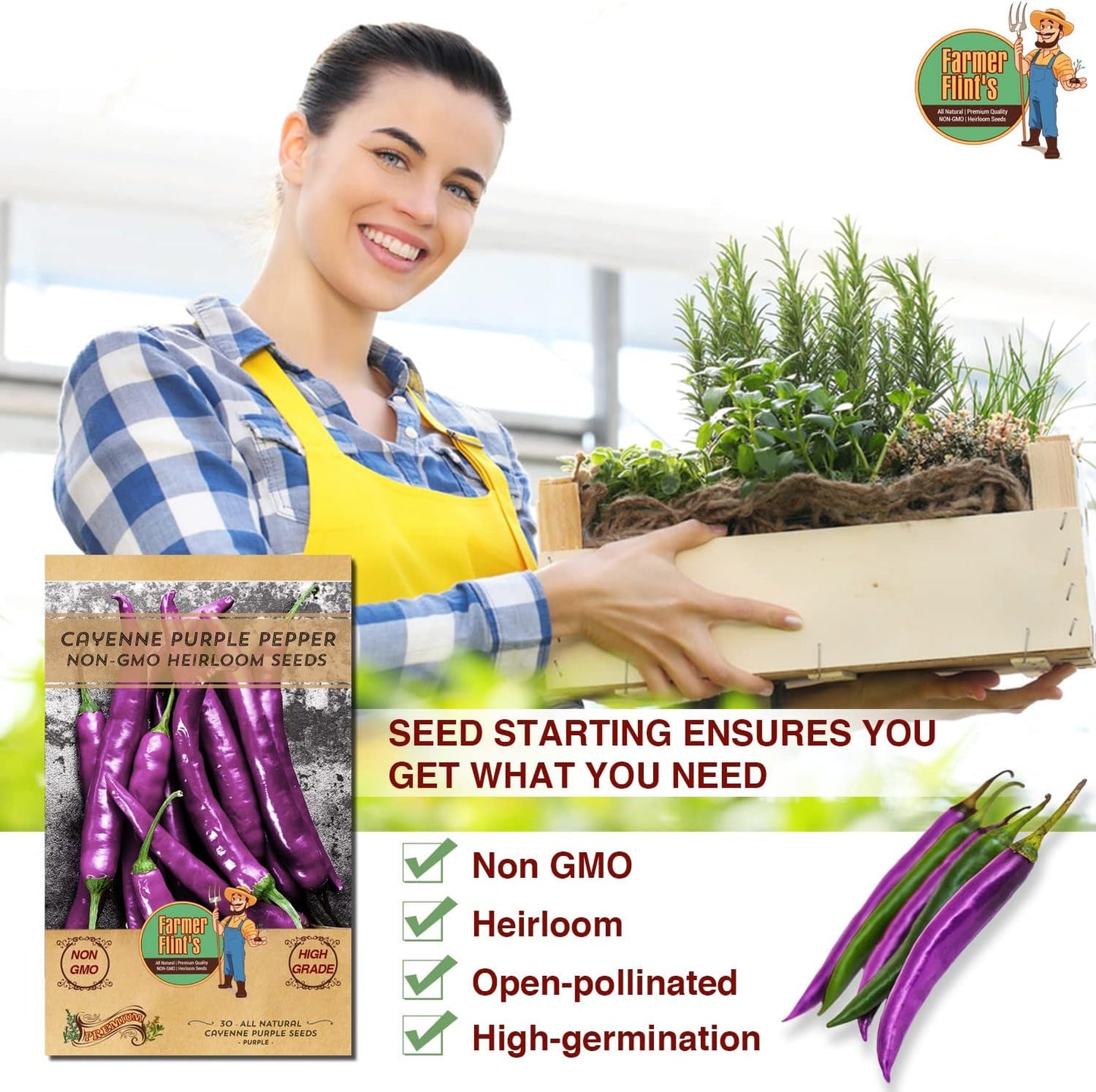 Cayenne Pepper Seeds for Planting - Non-GMO Spicy Purple Peppers - Pack of 30 Open-Pollination Heirloom Seeds with Growing Instructions - All-Natural Hot Pepper Seeds for Your Garden