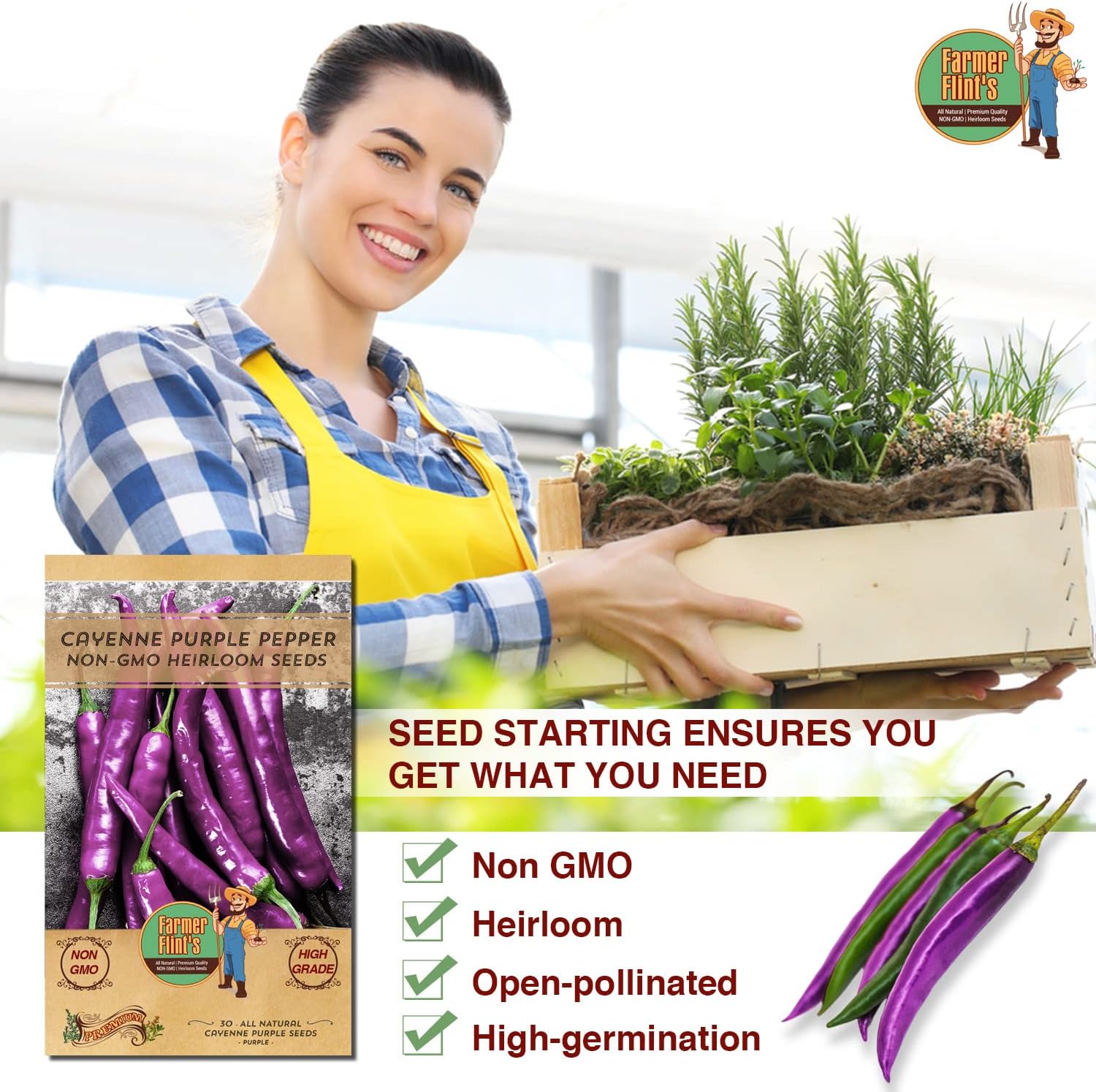 Cayenne Purple Pepper Seeds – Non-GMO, Heirloom, 30 Count