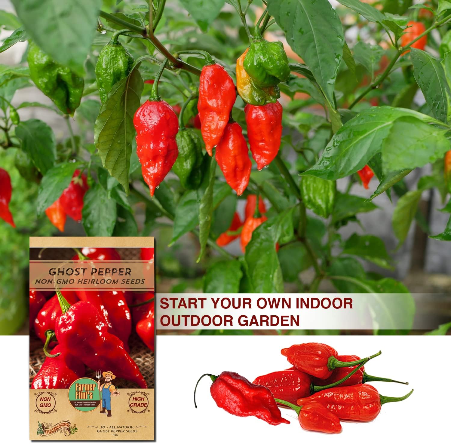 Ghost Pepper Seeds – Bhut Jolokia, Non-GMO, Pack of 30
