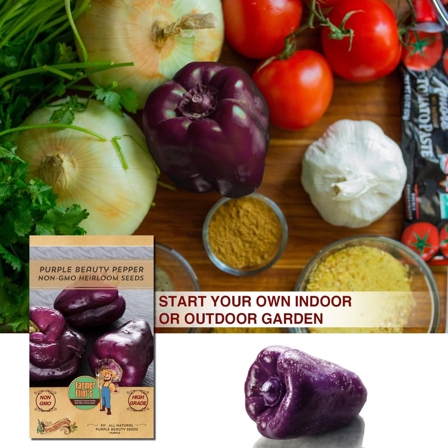 Purple Beauty Bell Pepper Seeds - Open Pollinated/Non-GMO Heirloom Seeds for Planting Outdoors/Indoors - Pack of 30 Sweet Pepper Seeds w/High Germination Rate - Growing Instructions Included