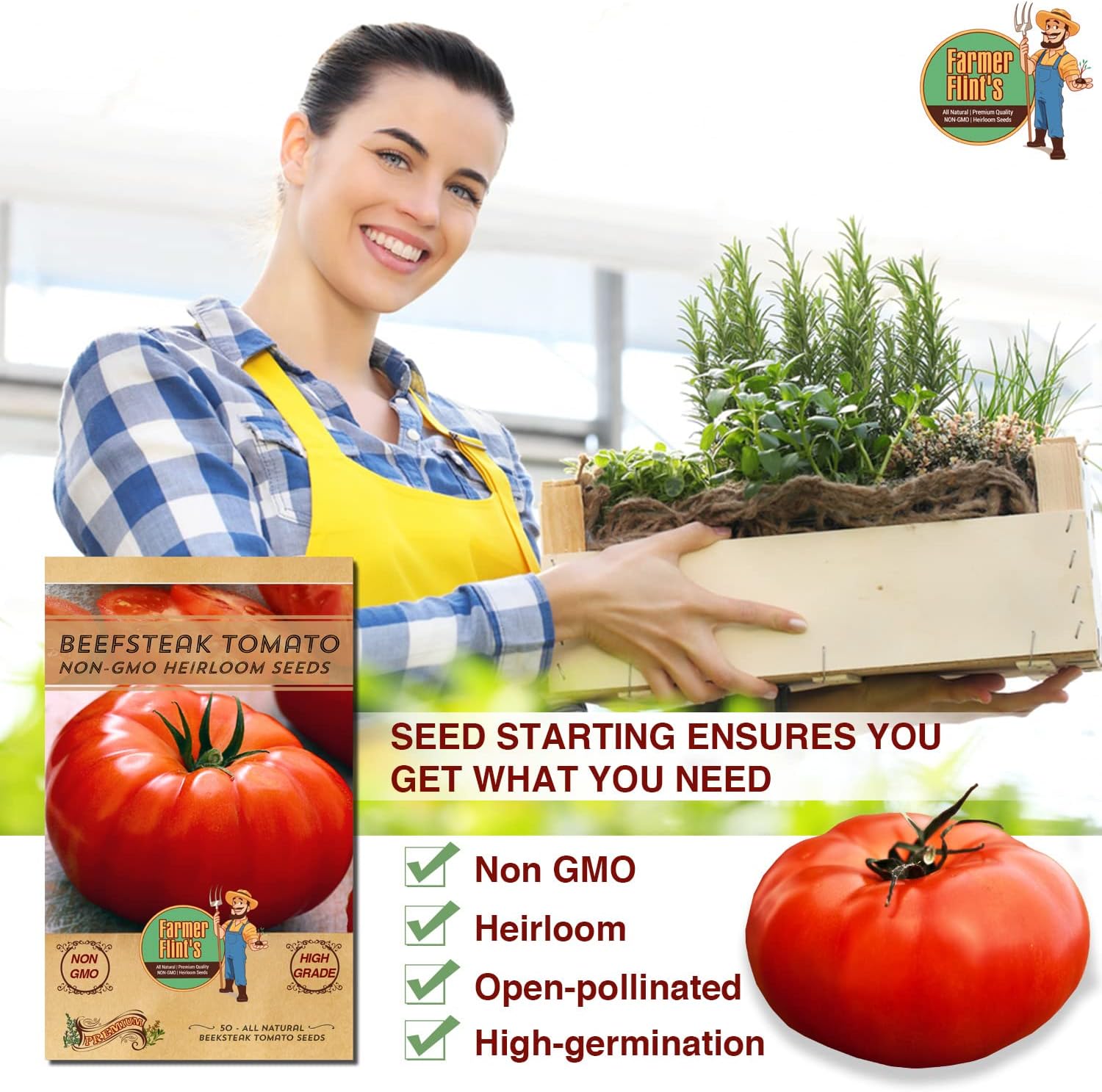 Beefsteak Tomato Seeds – Heirloom, Non-GMO, Pack of 50