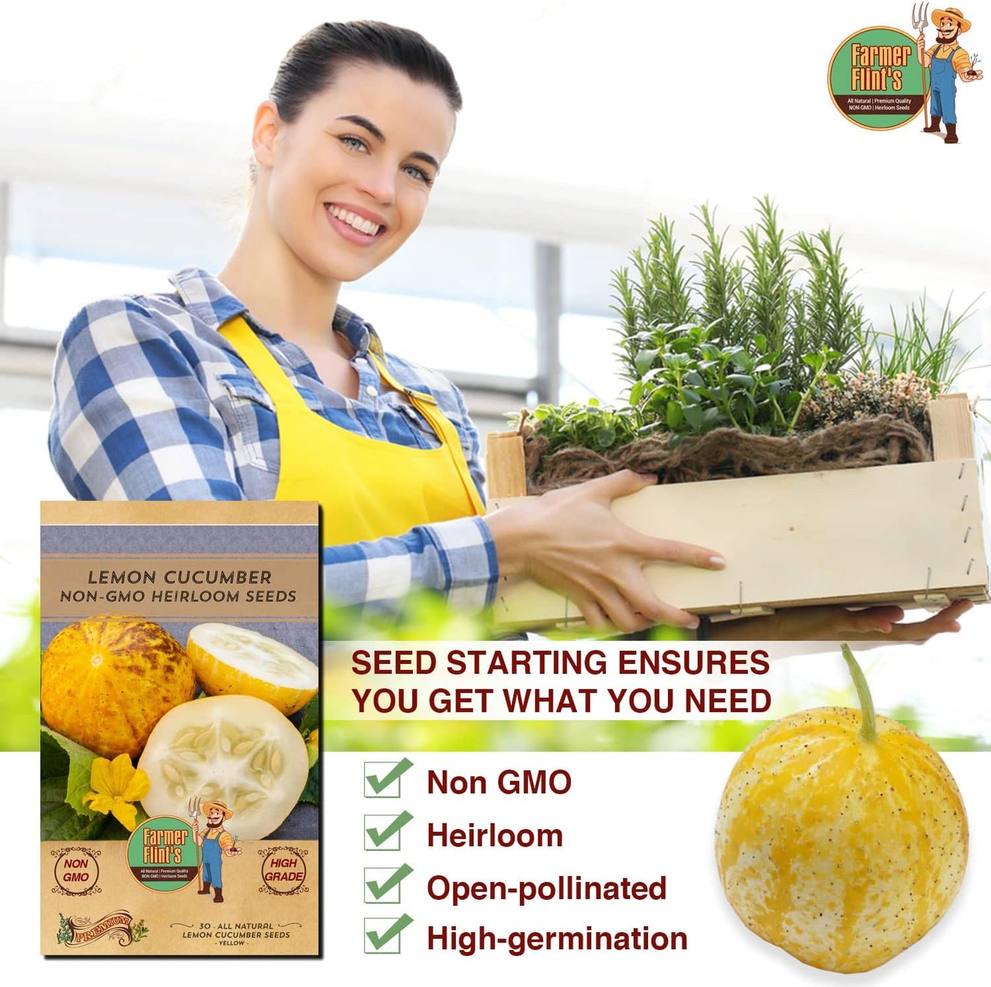 Lemon Cucumber Seeds - Non GMO/Heirloom Lemon Cucumber Seeds for Planting Home Garden - All Natural/High Grade/Open-Pollinated Yellow Cucumber Seeds - (Pack of 30)