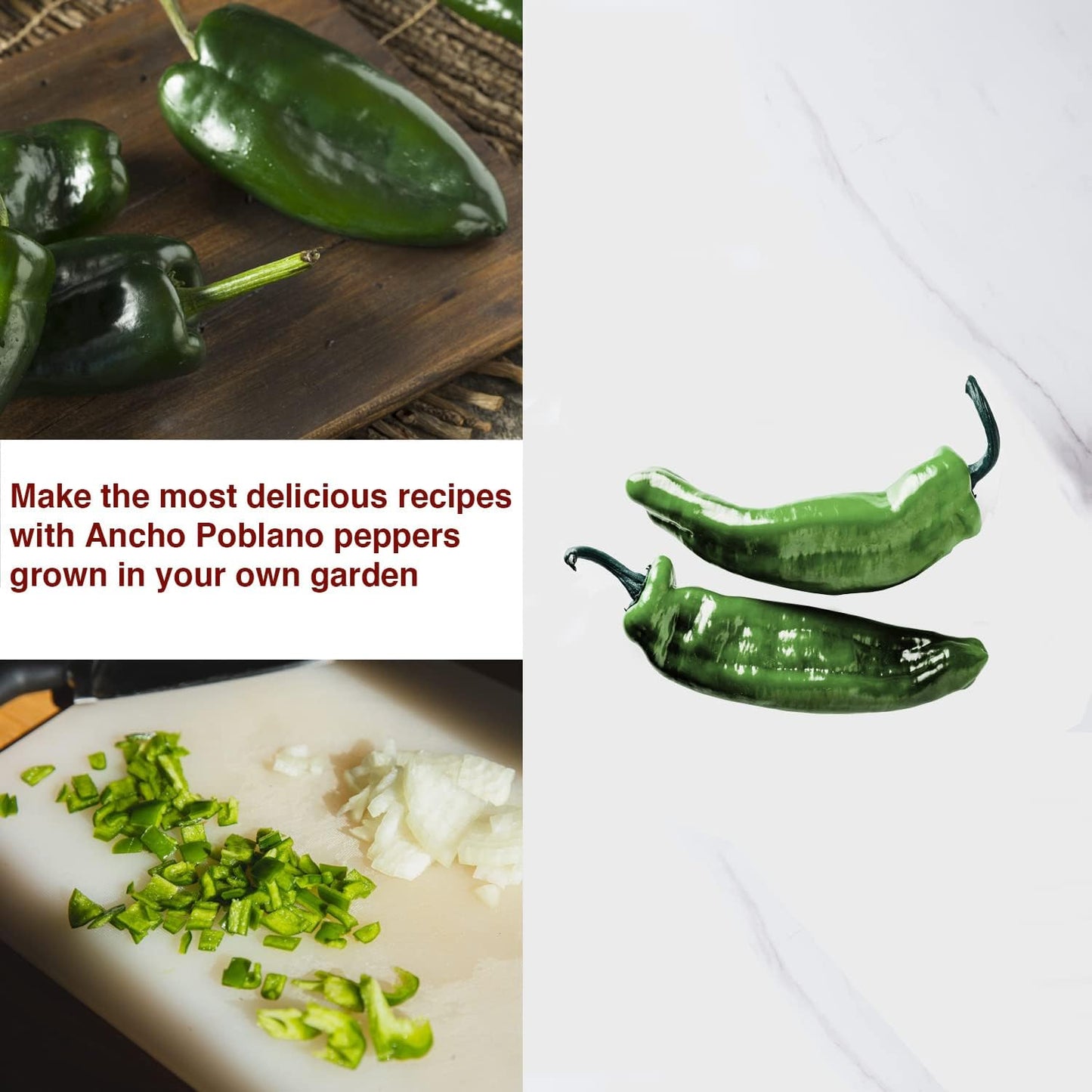 Ancho Poblano Pepper Seeds - All Natural/Open Pollinated/Non-GMO Heirloom Chili Pepper Seeds for Your Home Garden - Pack of 30 Hot Pepper Seeds for Planting - Growing Instructions Included