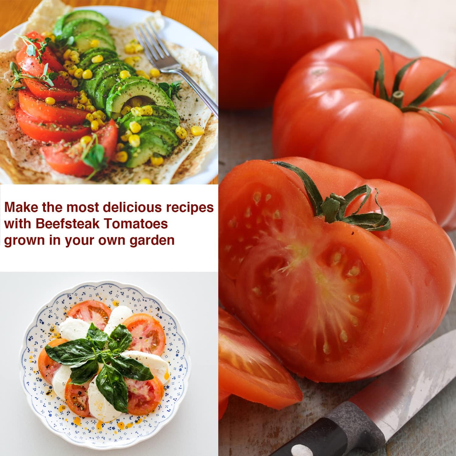 Beefsteak Tomato Seeds – Heirloom, Non-GMO, Pack of 50