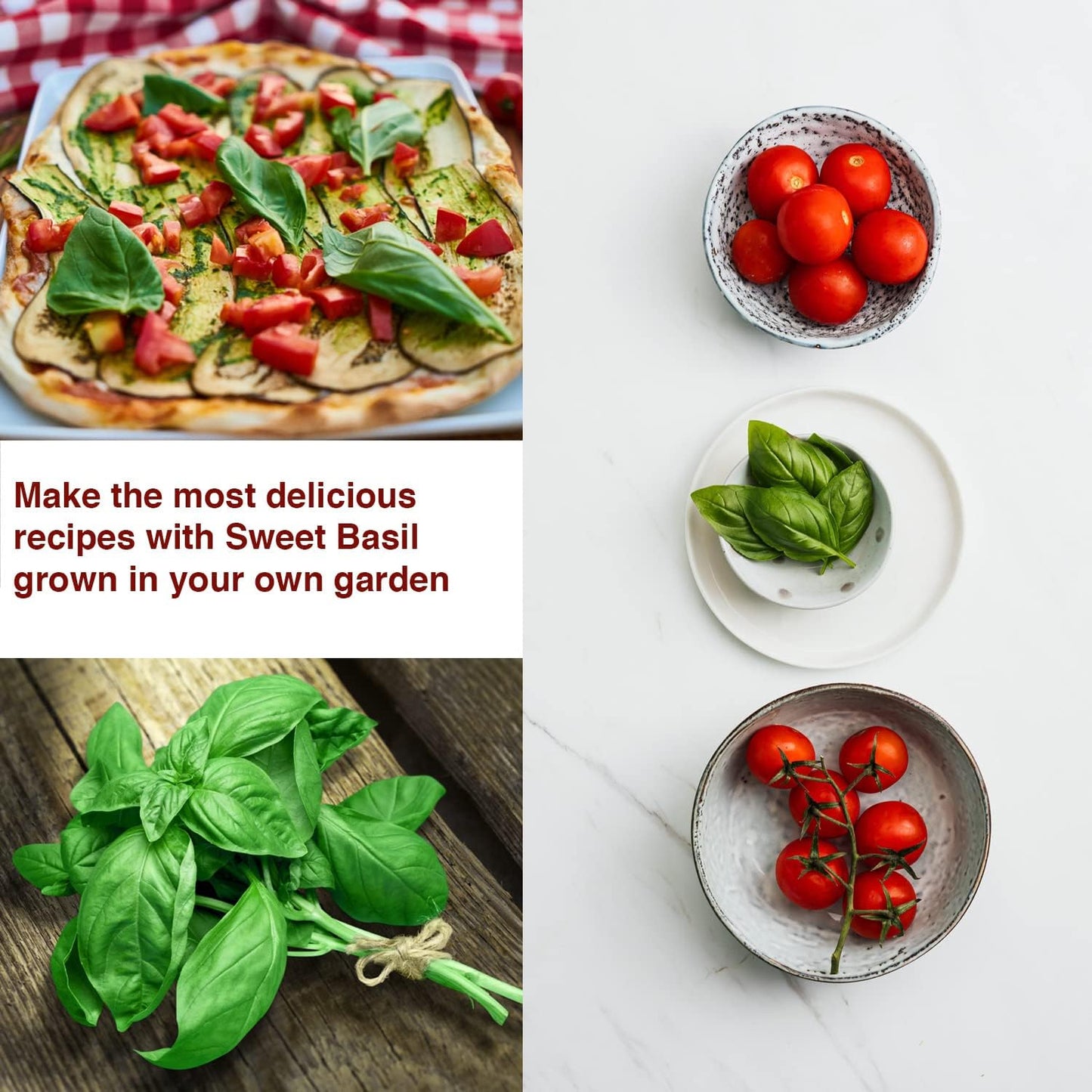 Sweet Basil Seeds - Leafy Vegetable Seeds for Planting Home Garden - Non-GMO Seeds for Planting Basil - Open Pollinated Seeds w/ High Germination Rate - 500 Basil Seed Packet w/ Growing Instructions