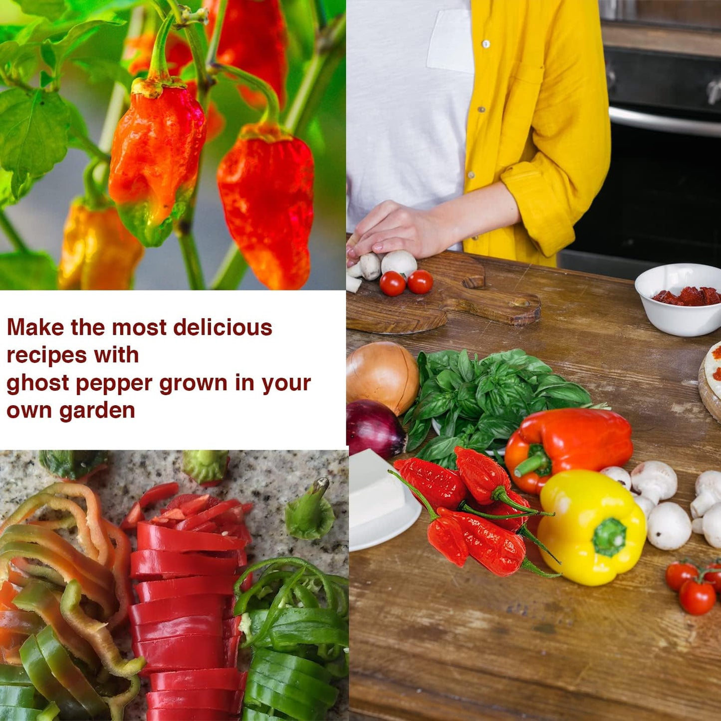 Ghost Pepper Seeds – Naga/ Bhut Jolokia Pepper Seeds for Planting – High Grade Heirloom Seeds, Non-GMO – Extra Hot & Spicy Chili – Pack of 30 Plant Seeds