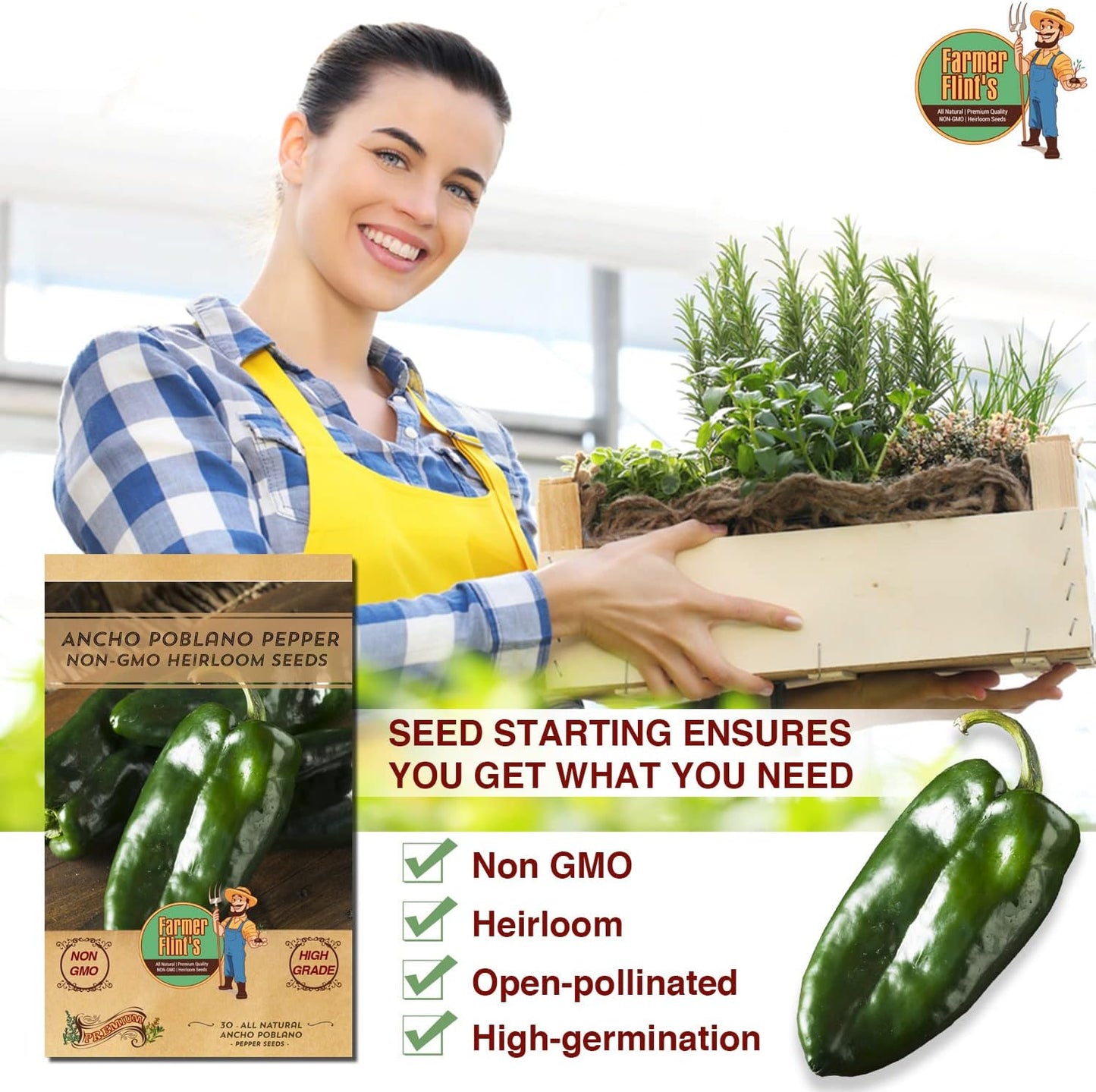 Ancho Poblano Pepper Seeds - All Natural/Open Pollinated/Non-GMO Heirloom Chili Pepper Seeds for Your Home Garden - Pack of 30 Hot Pepper Seeds for Planting - Growing Instructions Included
