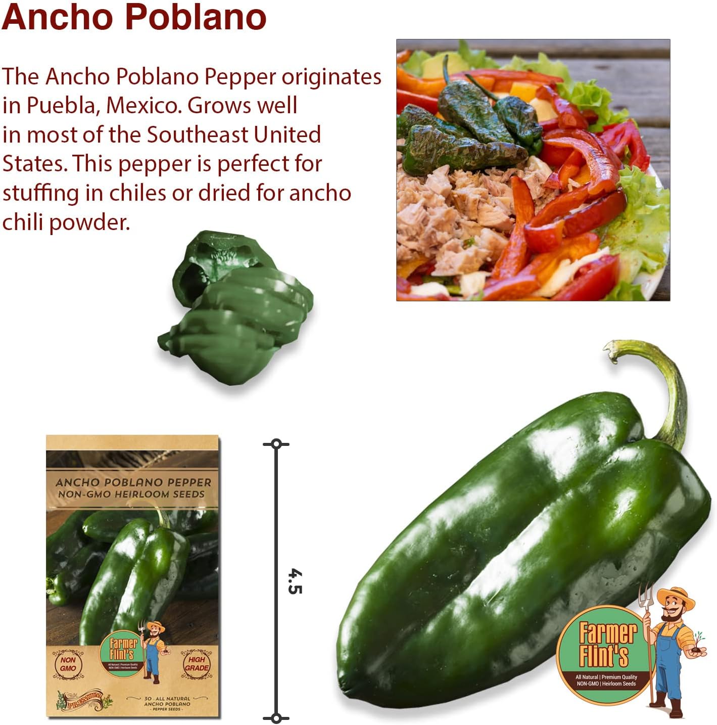 Ancho Poblano Pepper Seeds - All Natural/Open Pollinated/Non-GMO Heirloom Chili Pepper Seeds for Your Home Garden - Pack of 30 Hot Pepper Seeds for Planting - Growing Instructions Included