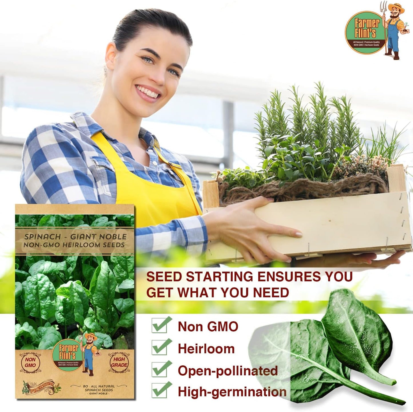 Giant Noble Spinach Seeds - Non-GMO Heirloom Spinach Leafy Vegetable Seeds - Open Pollinated Spinach Seeds for Planting Outdoors/Indoors - Pack of 80 Veggie Seeds w/ Planting Instructions