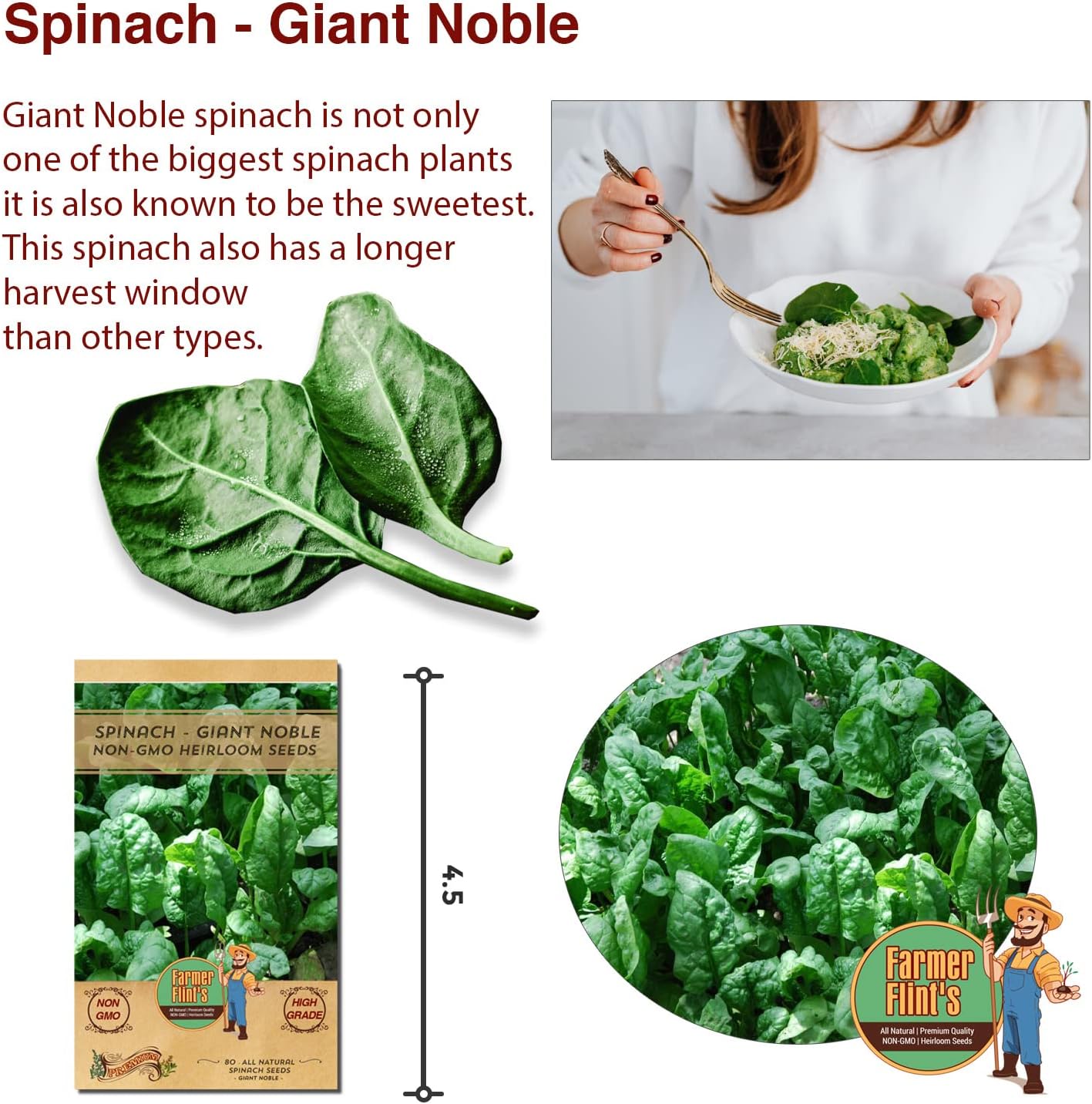 Giant Noble Spinach Seeds - Non-GMO Heirloom Spinach Leafy Vegetable Seeds - Open Pollinated Spinach Seeds for Planting Outdoors/Indoors - Pack of 80 Veggie Seeds w/ Planting Instructions