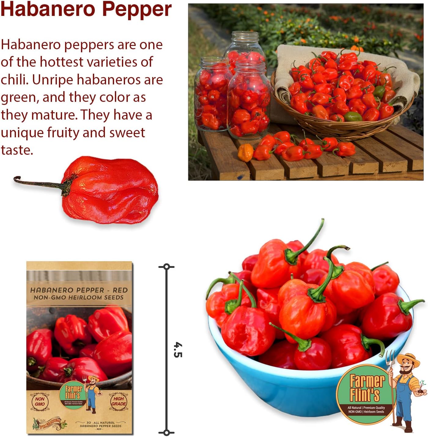 Habanero Pepper Seeds - Open Pollinated/All Natural/Non-GMO Chili Pepper Vegetable Seeds for Planting Home Garden - Pack of 30 Hot Pepper Heirloom Seeds - Growing Instructions Included