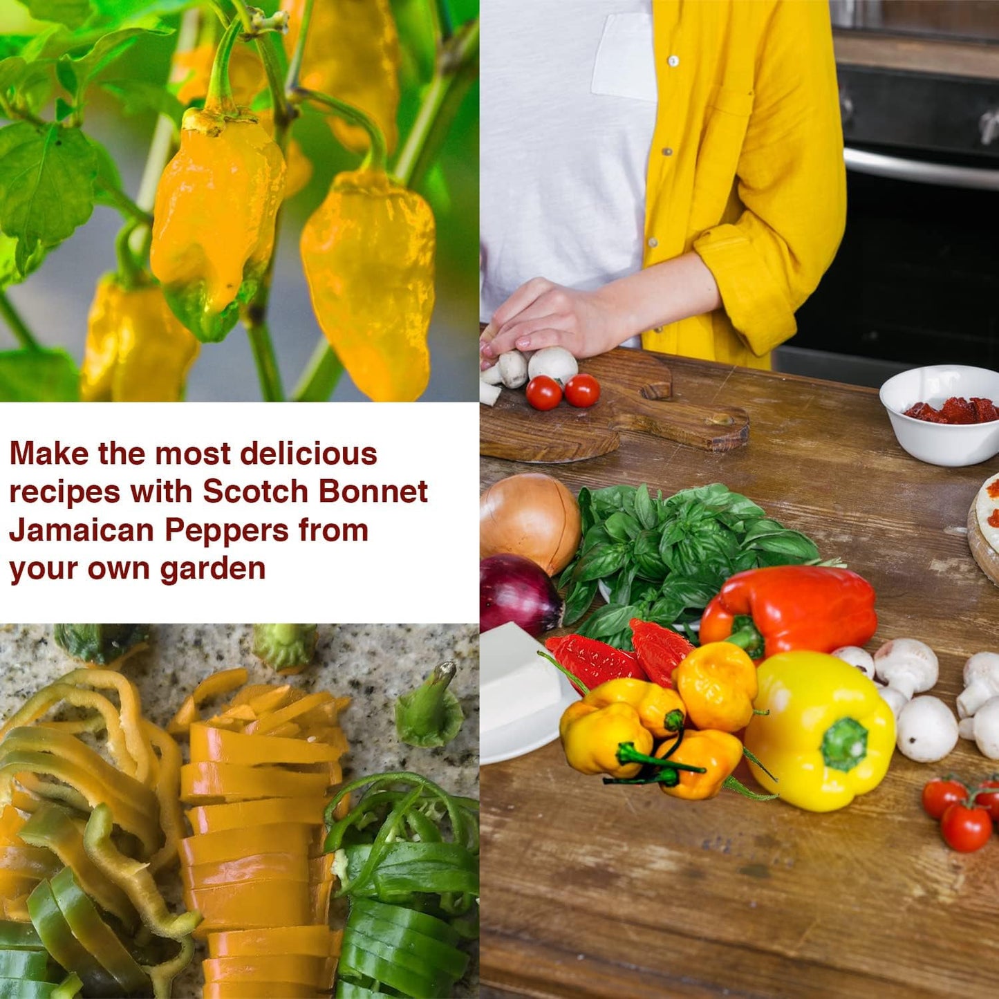 Scotch Bonnet Pepper Seeds - Jamaican Yellow Pepper Seeds for Planting - Non GMO Hot Pepper Seeds - All Natural/High Grade Heirloom Seeds for Growing Hot Pepper Plants (Pack of 30)