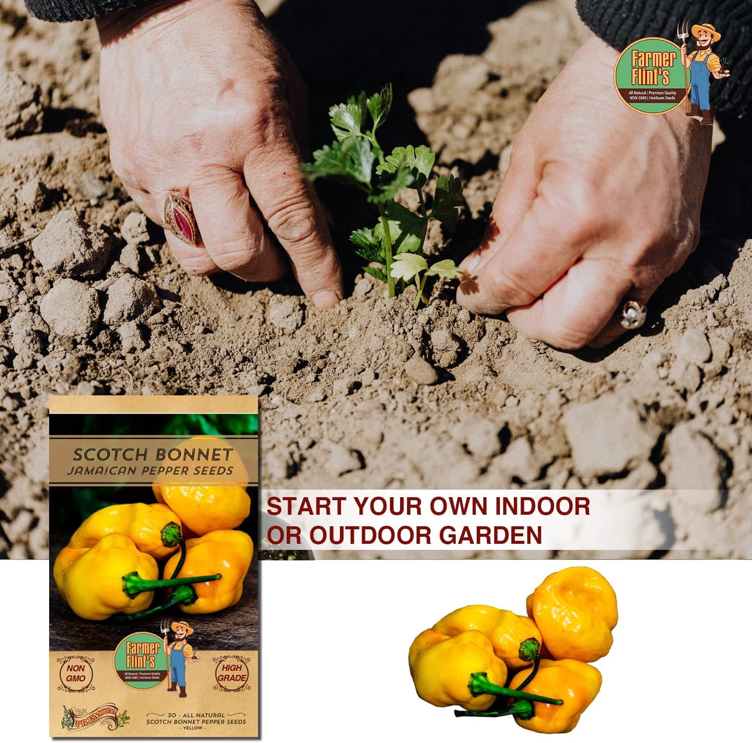Scotch Bonnet Pepper Seeds – Hot, Heirloom, Non-GMO, 30ct