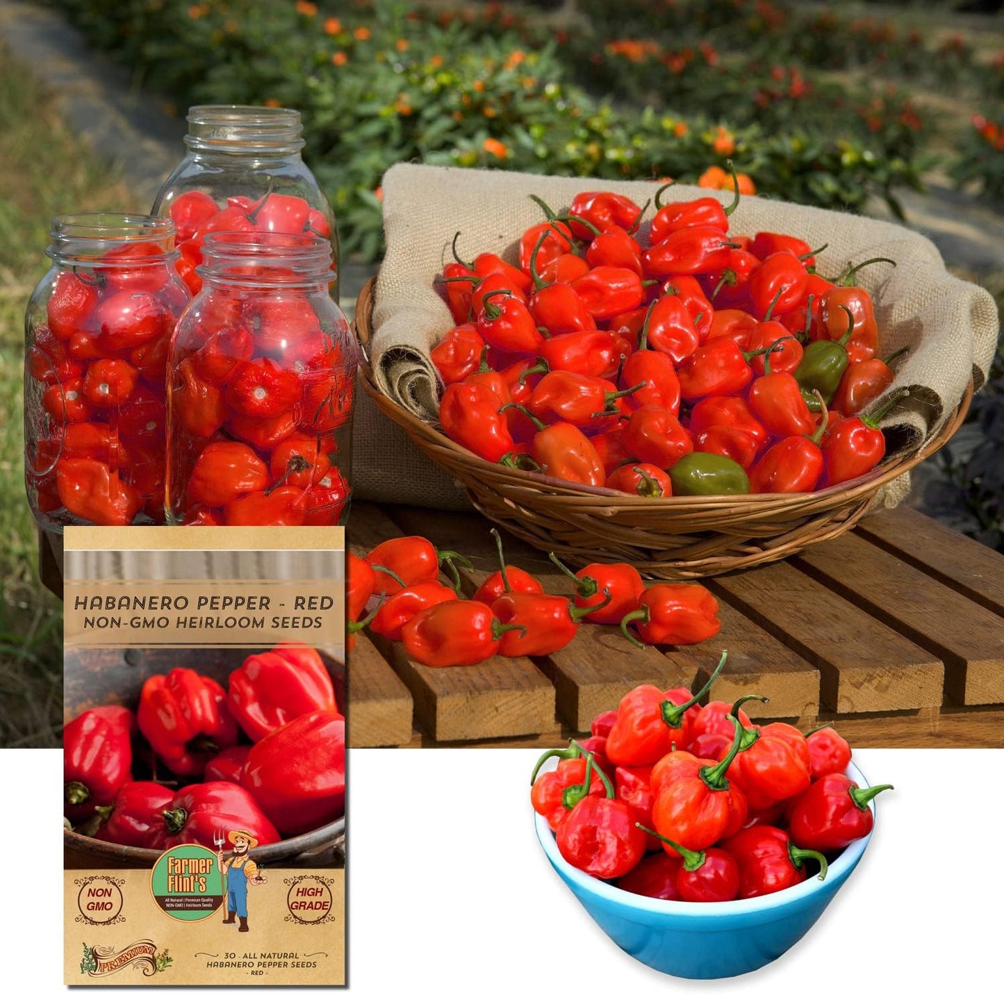 Habanero Pepper Seeds - Open Pollinated/All Natural/Non-GMO Chili Pepper Vegetable Seeds for Planting Home Garden - Pack of 30 Hot Pepper Heirloom Seeds - Growing Instructions Included