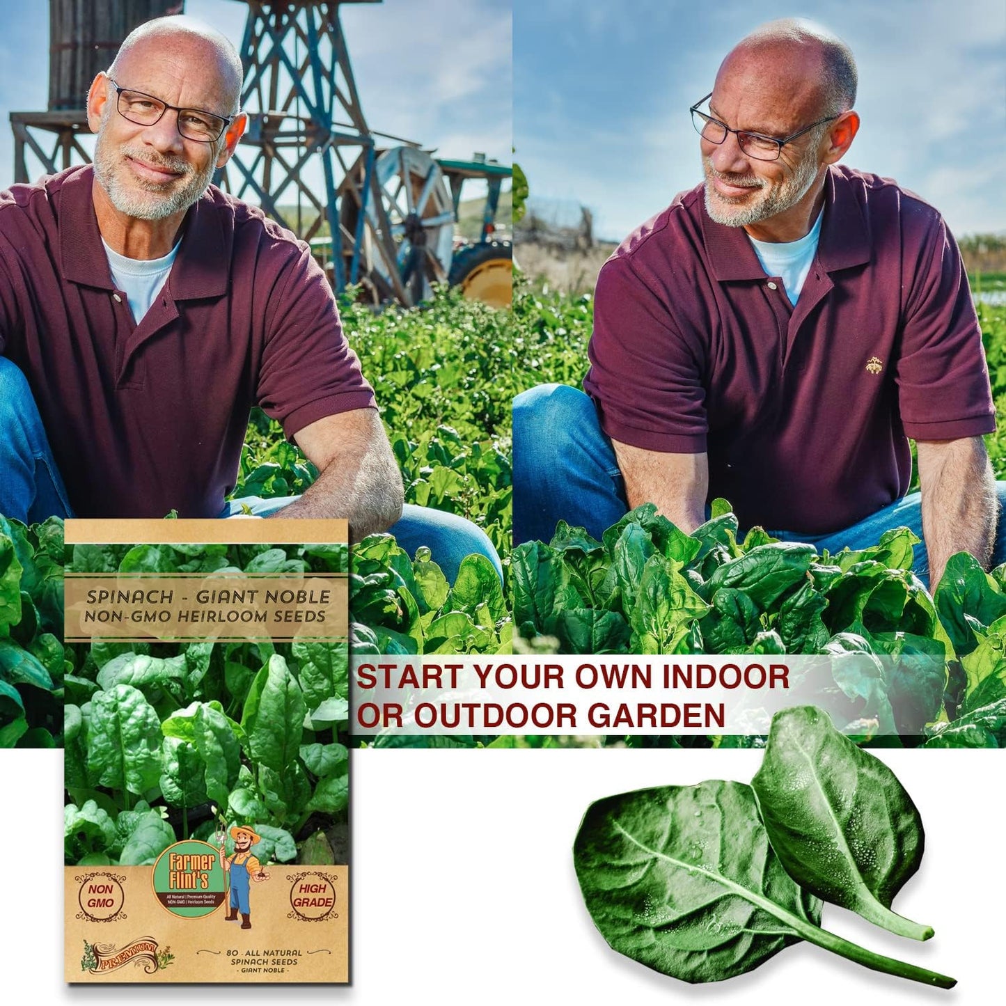 Giant Noble Spinach Seeds - Non-GMO Heirloom Spinach Leafy Vegetable Seeds - Open Pollinated Spinach Seeds for Planting Outdoors/Indoors - Pack of 80 Veggie Seeds w/ Planting Instructions