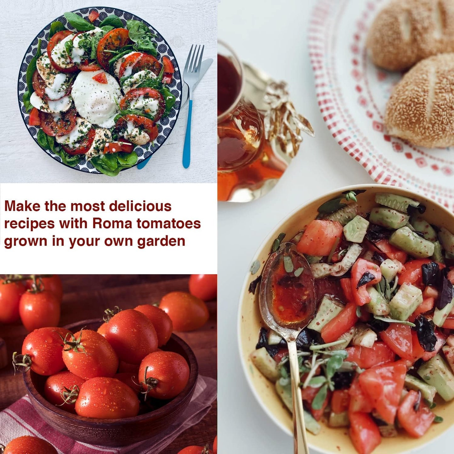 Roma VF Tomato Seeds - Non-GMO Heirloom Tomato Seeds for Planting - Red Tomato Vegetable Seeds for Planting Home Garden - Pack of 50 Open Pollinated Garden Seeds - Planting Instruction Included