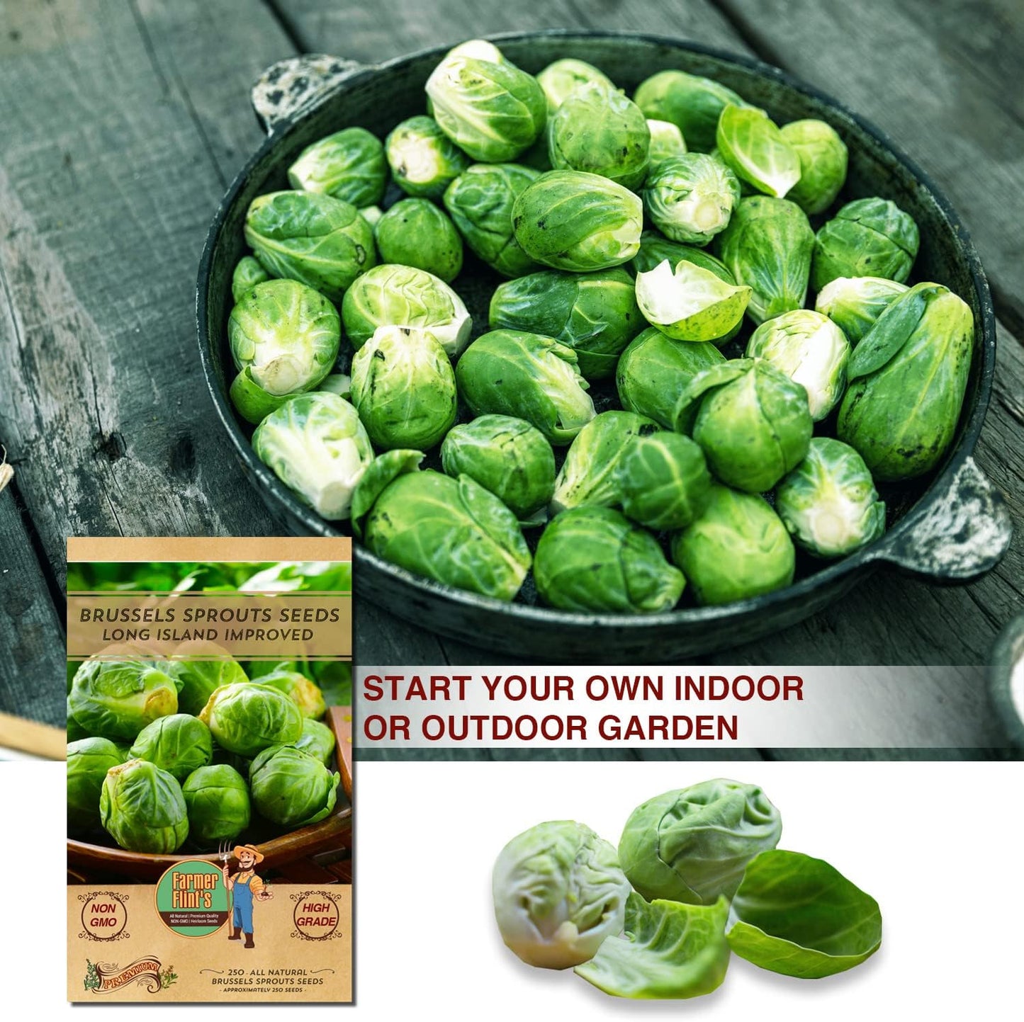 Brussels Sprouts Seeds for Planting - Non-GMO/Heirloom Seeds for Planting Vegetables - Long Island Improved Brussels Sprouts - Pack of 250 Mini Vegetable Seeds - Growing Instructions Included
