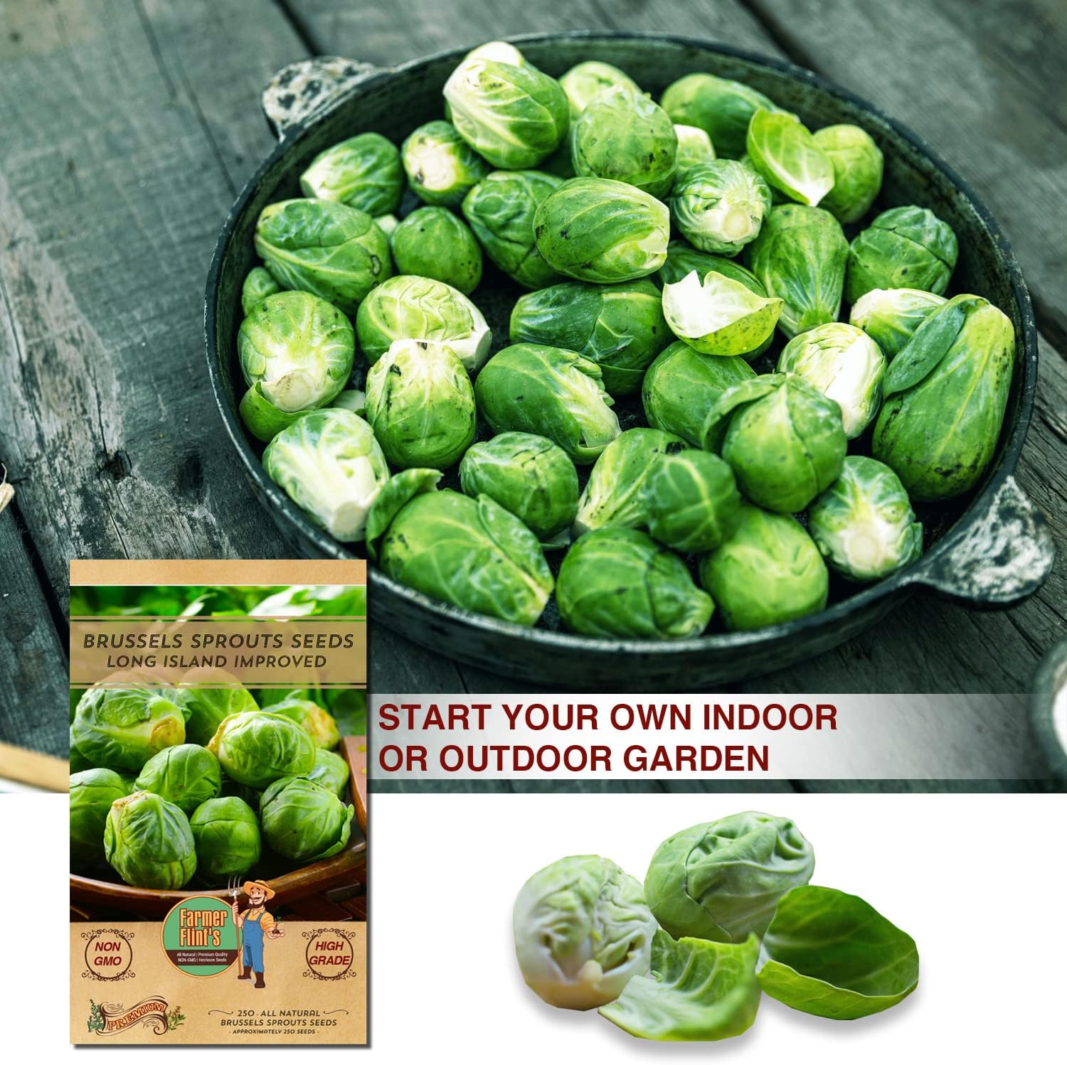Long Island Brussels Sprouts Seeds – Non-GMO & Heirloom