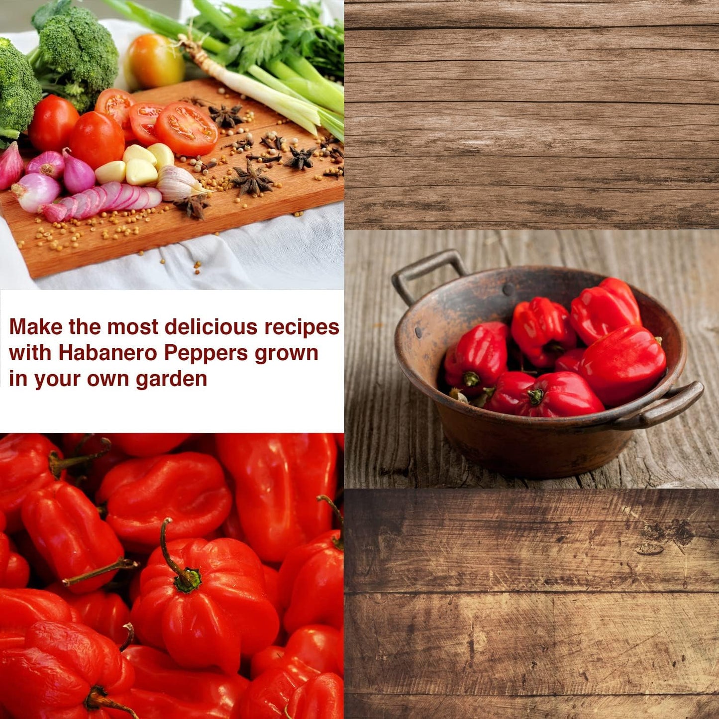 Habanero Pepper Seeds - Open Pollinated/All Natural/Non-GMO Chili Pepper Vegetable Seeds for Planting Home Garden - Pack of 30 Hot Pepper Heirloom Seeds - Growing Instructions Included