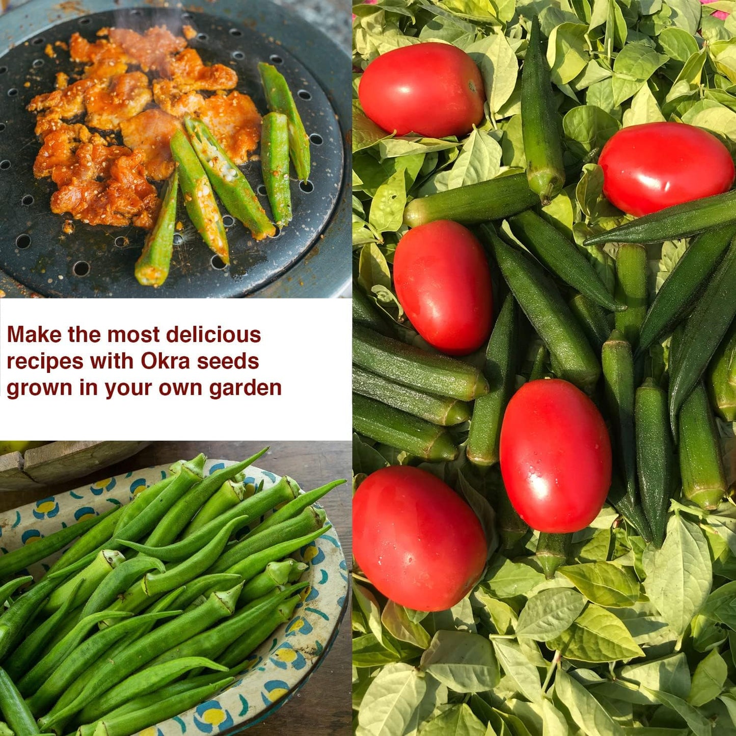 Okra Clemson Spineless Seeds - Non-GMO Heirloom Okra Seeds for Planting Home Garden - Pack of 50 Open Pollinated Vegetable Seeds - Grow Your Own Veggies w/ Okra Seeds - Planting Guide Included