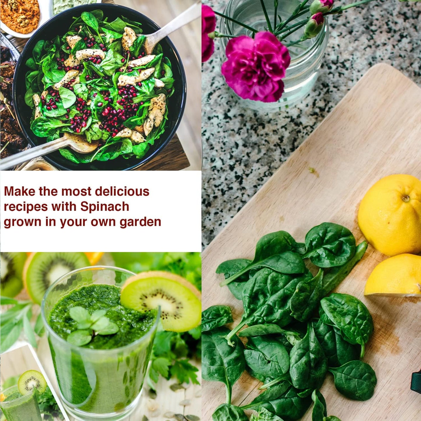 Giant Noble Spinach Seeds - Non-GMO Heirloom Spinach Leafy Vegetable Seeds - Open Pollinated Spinach Seeds for Planting Outdoors/Indoors - Pack of 80 Veggie Seeds w/ Planting Instructions